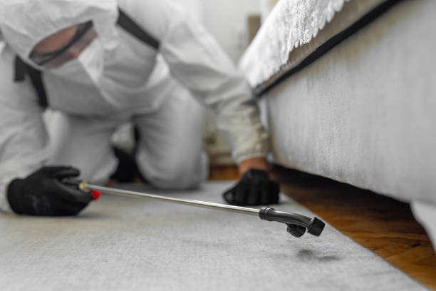 Professional Termite Control technician working in Alexandria, IN