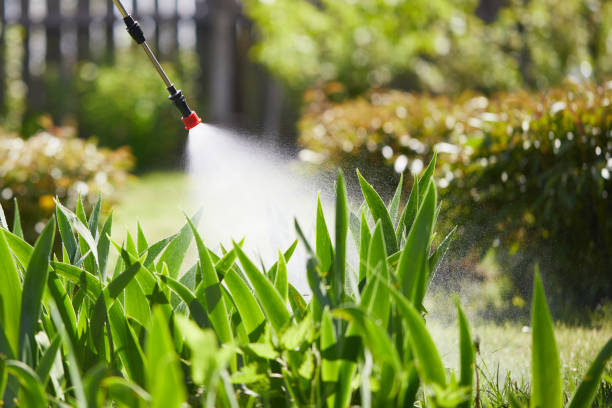24/7 Emergency Termite Control experts in Alexandria, IN