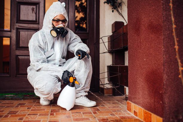 Reliable Termite Control contractor in Alexandria, IN by Nex Pest Control