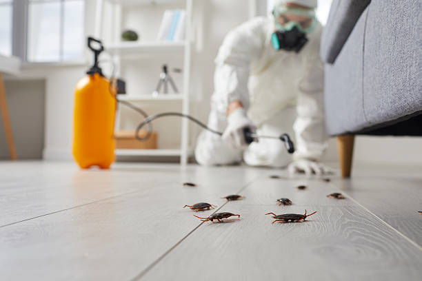 Trusted Termite Control service in Alexandria, IN - Nex Pest Control